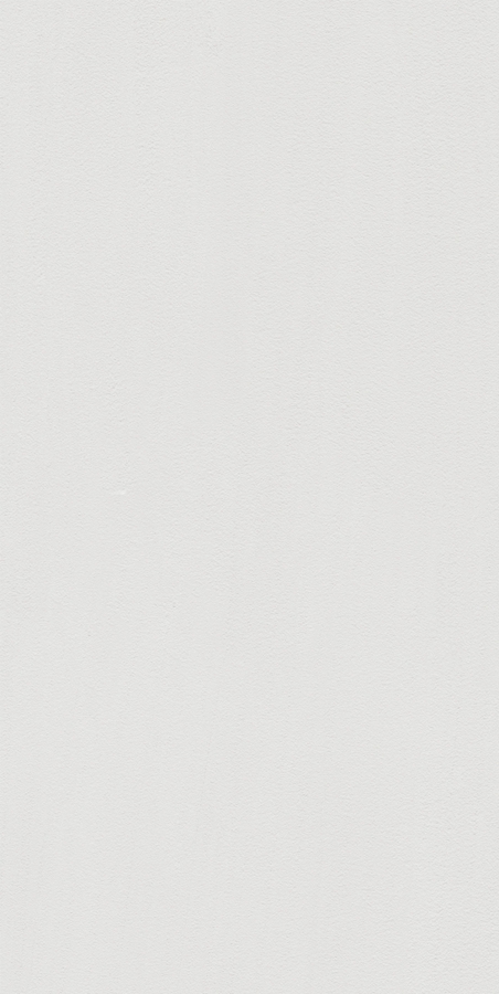 600X1200現(xiàn)代仿古磚